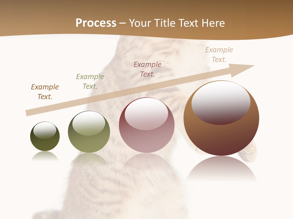 Carnivore Pet Looking PowerPoint Template
