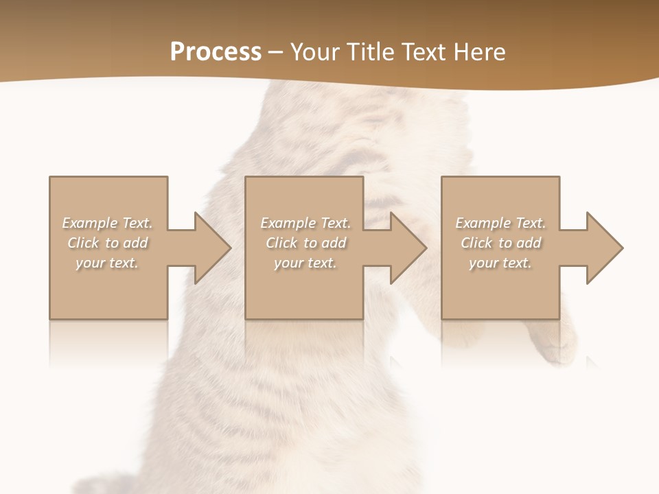 Carnivore Pet Looking PowerPoint Template