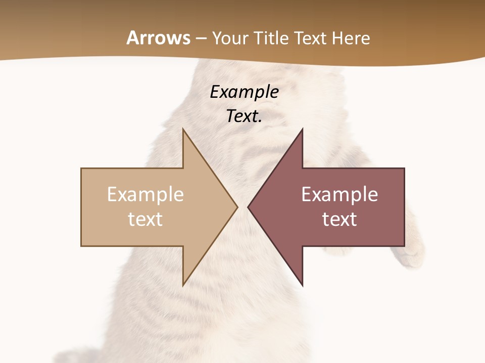 Carnivore Pet Looking PowerPoint Template