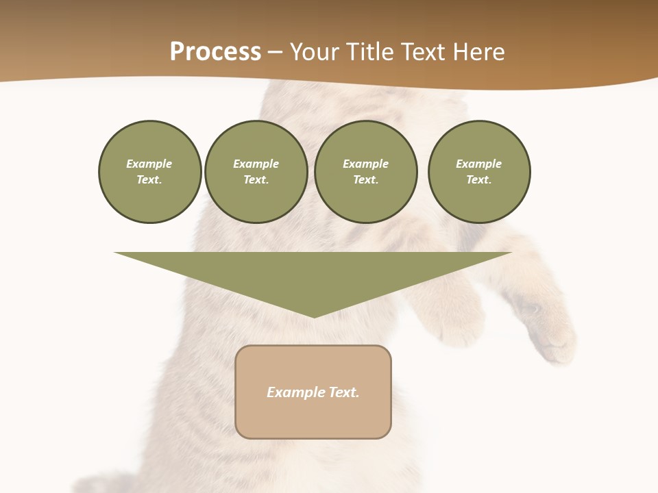 Carnivore Pet Looking PowerPoint Template