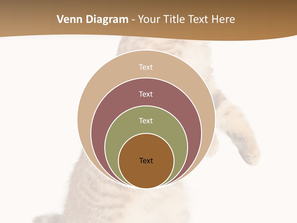 Carnivore Pet Looking PowerPoint Template