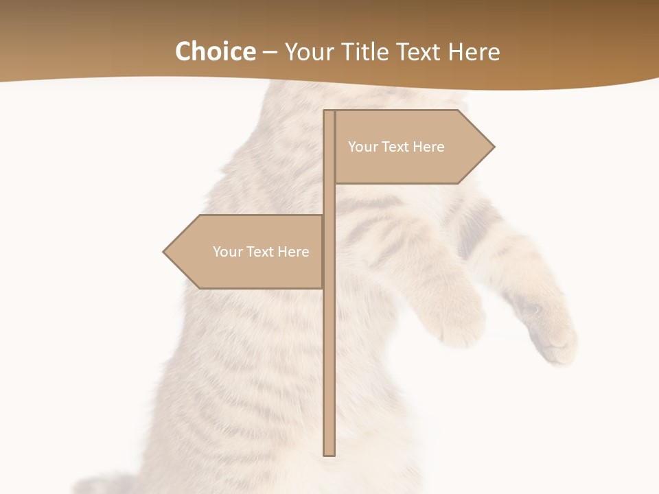 Carnivore Pet Looking PowerPoint Template