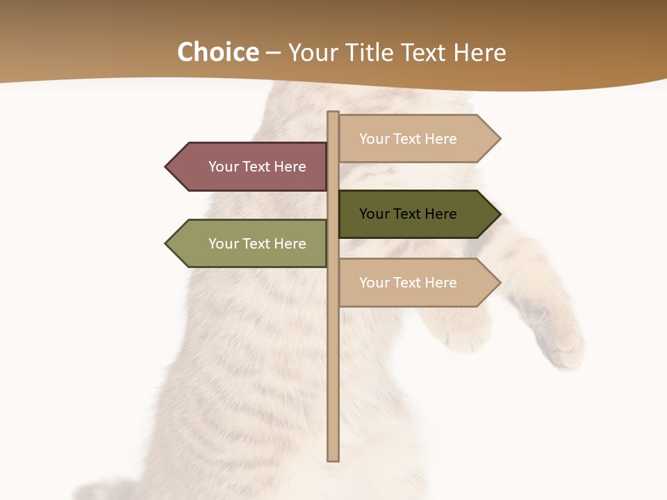Carnivore Pet Looking PowerPoint Template