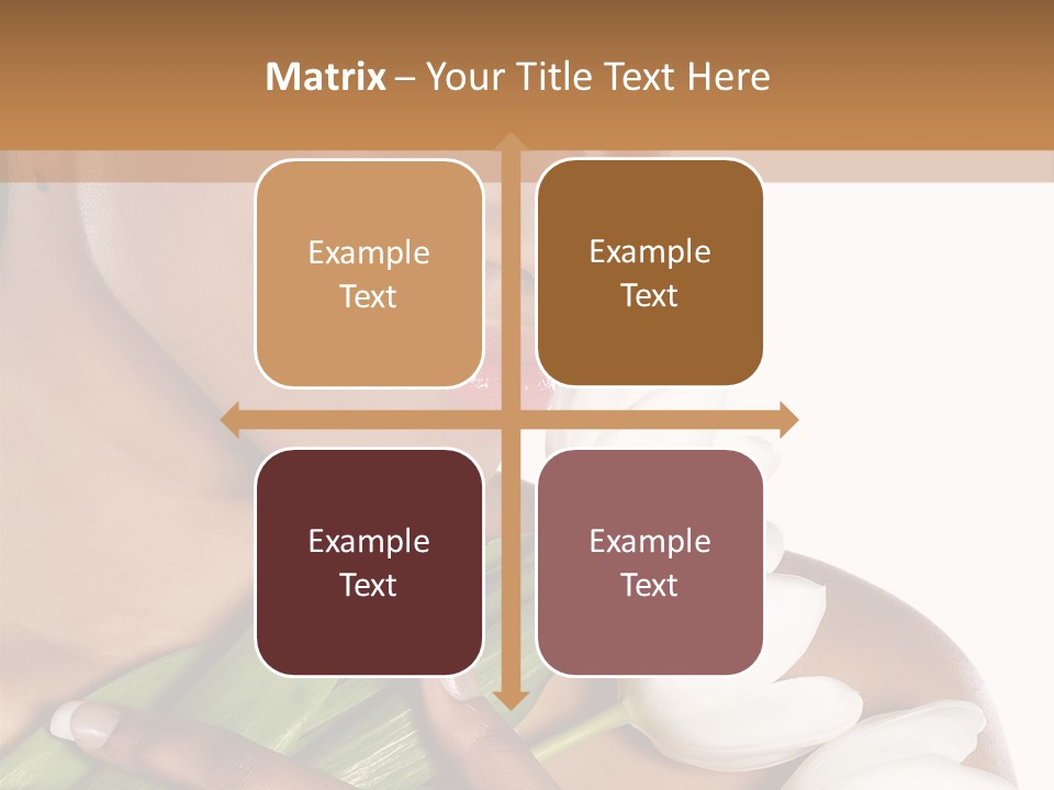 Fashion South Body PowerPoint Template