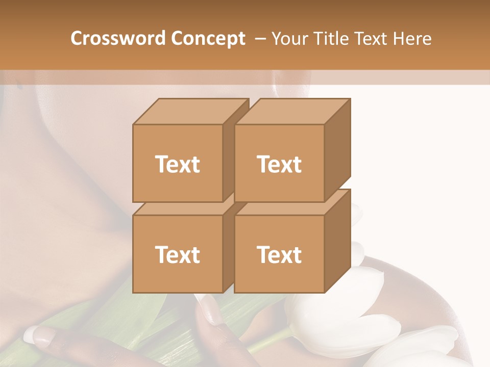 Fashion South Body PowerPoint Template