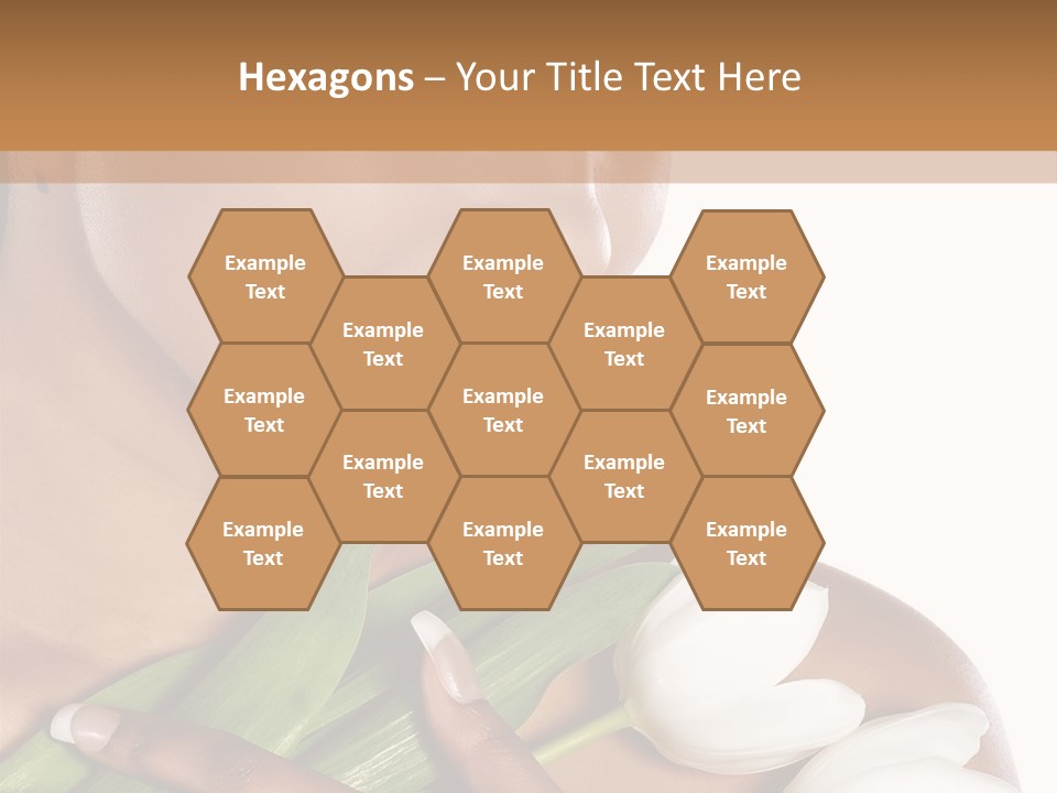 Fashion South Body PowerPoint Template