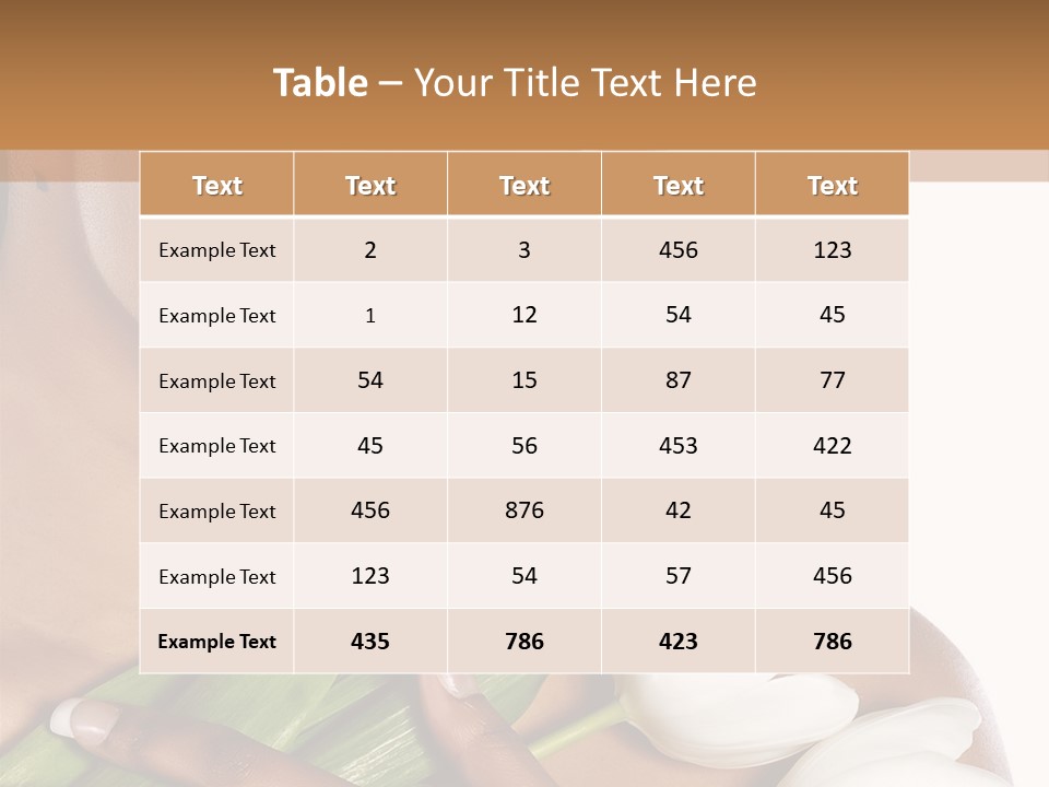 Fashion South Body PowerPoint Template