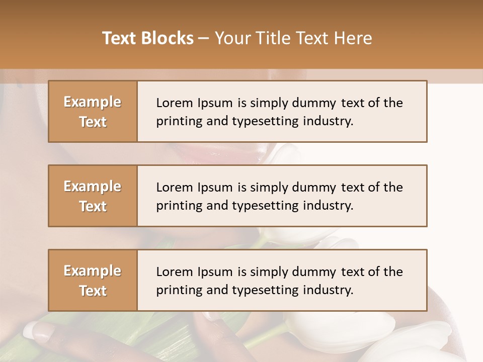 Fashion South Body PowerPoint Template