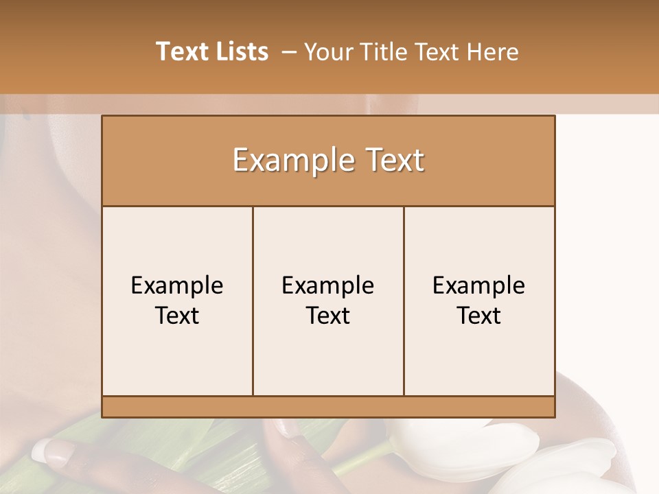 Fashion South Body PowerPoint Template