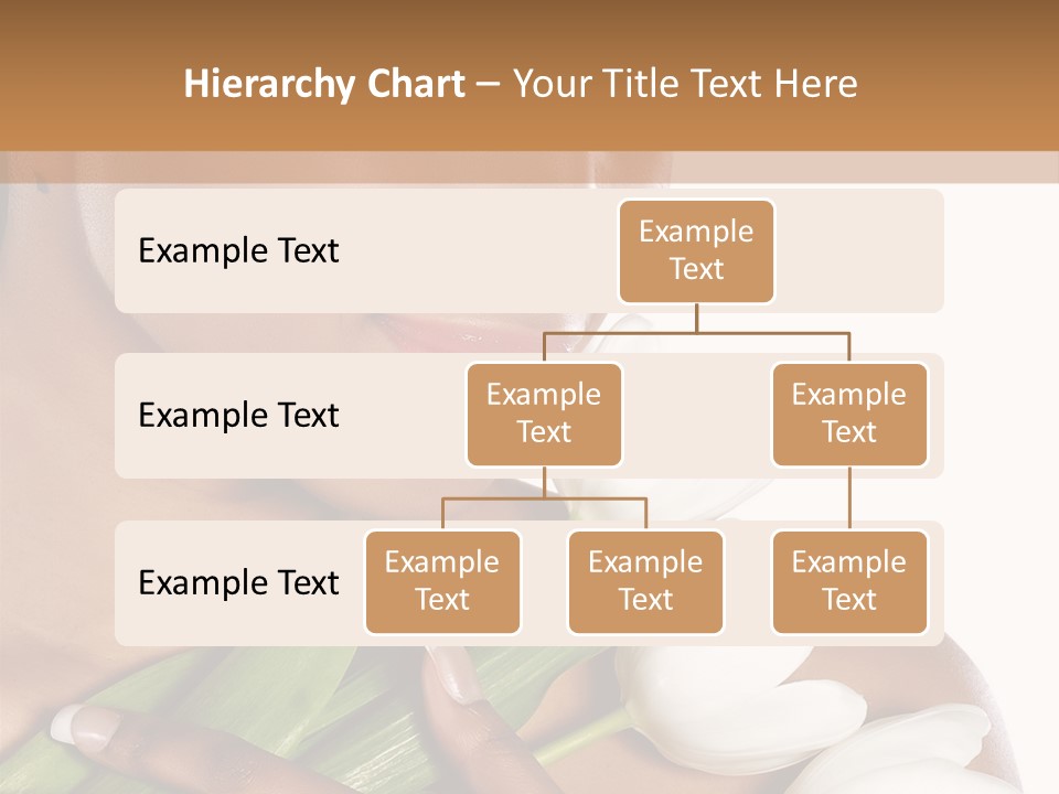 Fashion South Body PowerPoint Template