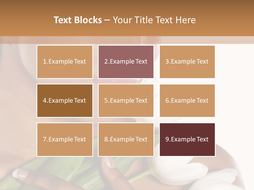 Fashion South Body PowerPoint Template