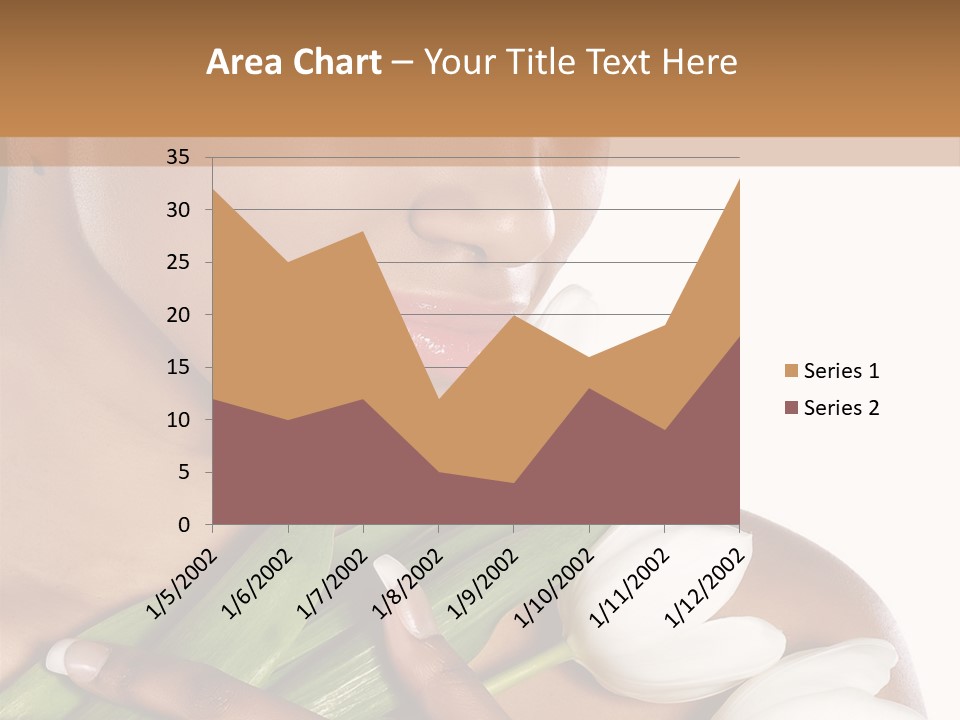 Fashion South Body PowerPoint Template