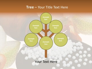 Gentle Capsules Medicine PowerPoint Template