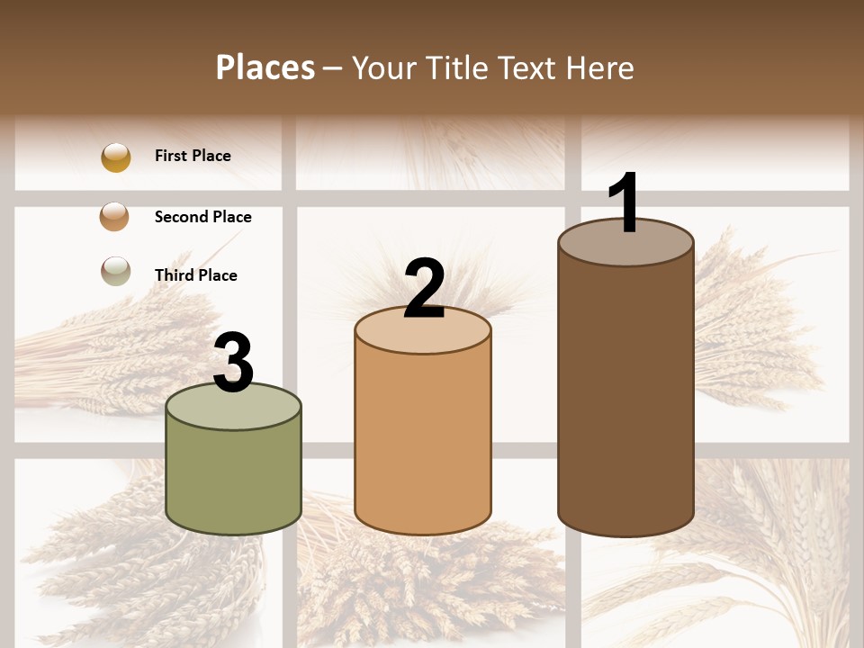 Ripe Ear White PowerPoint Template