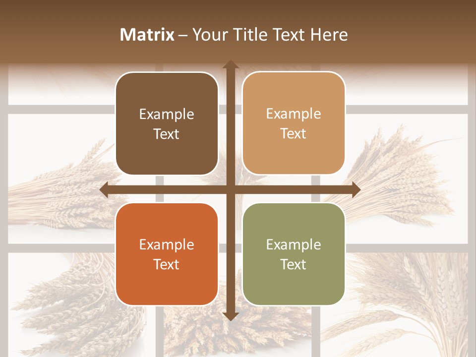 Ripe Ear White PowerPoint Template