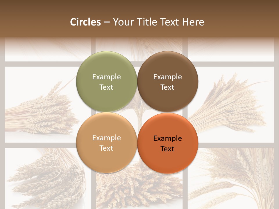 Ripe Ear White PowerPoint Template