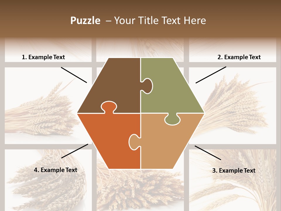 Ripe Ear White PowerPoint Template