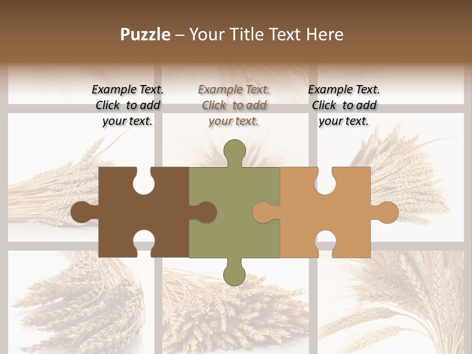 Ripe Ear White PowerPoint Template