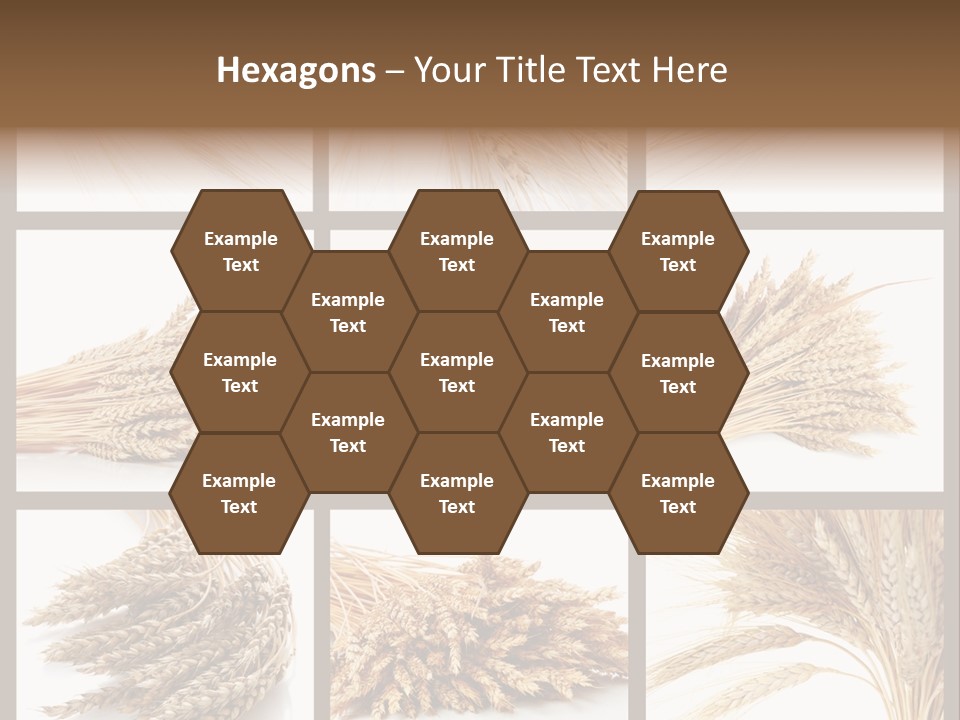 Ripe Ear White PowerPoint Template