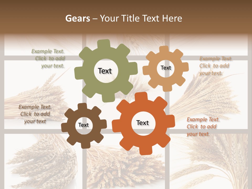 Ripe Ear White PowerPoint Template