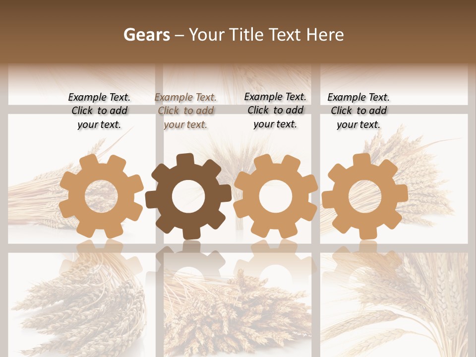 Ripe Ear White PowerPoint Template