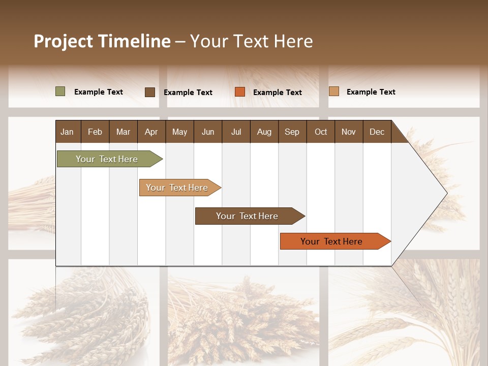 Ripe Ear White PowerPoint Template