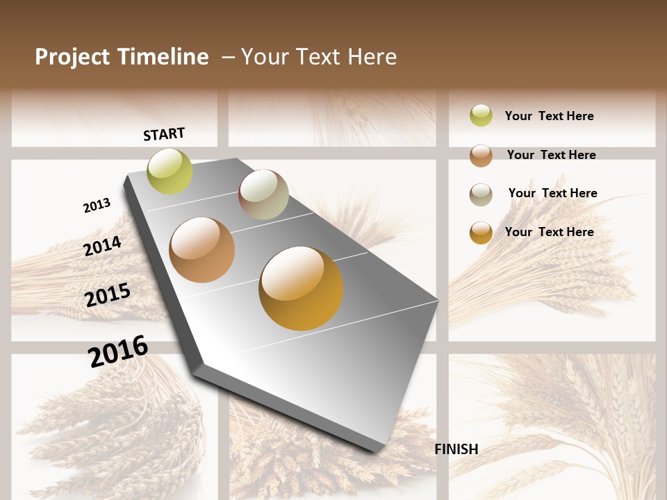 Ripe Ear White PowerPoint Template