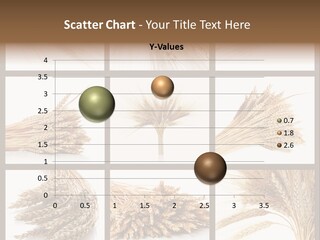 Ripe Ear White PowerPoint Template