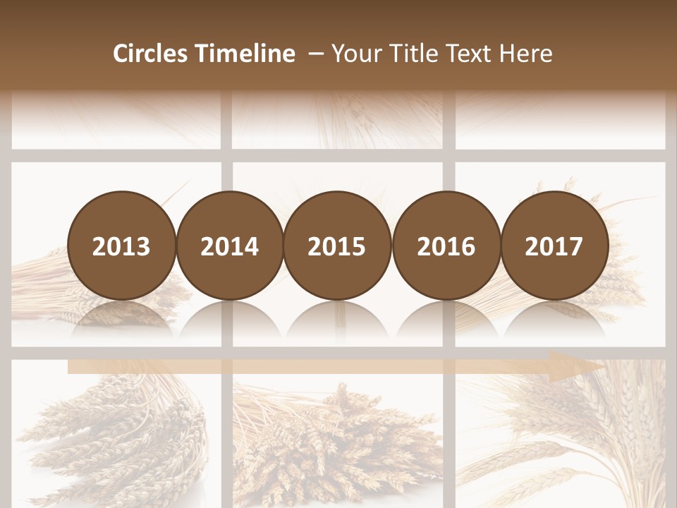 Ripe Ear White PowerPoint Template