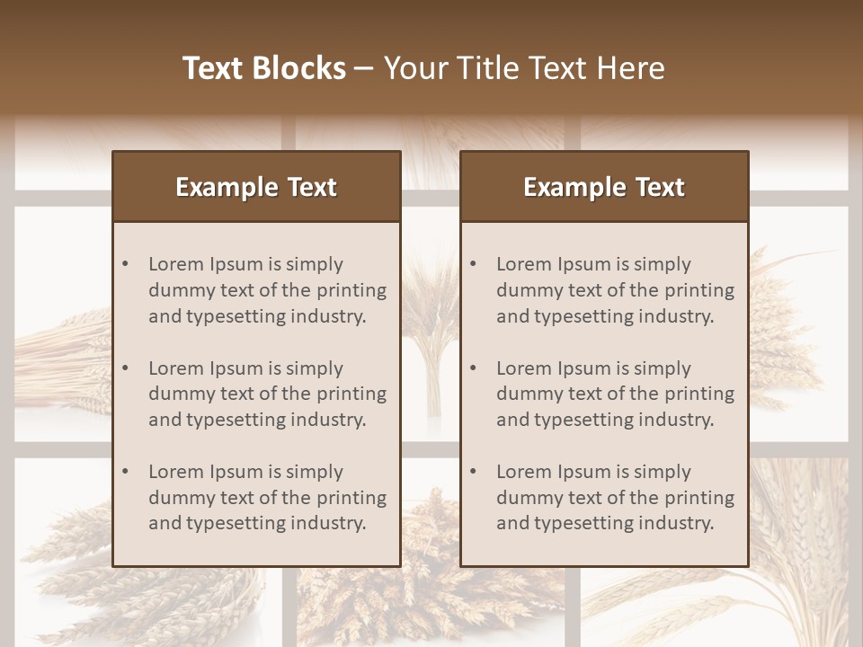 Ripe Ear White PowerPoint Template