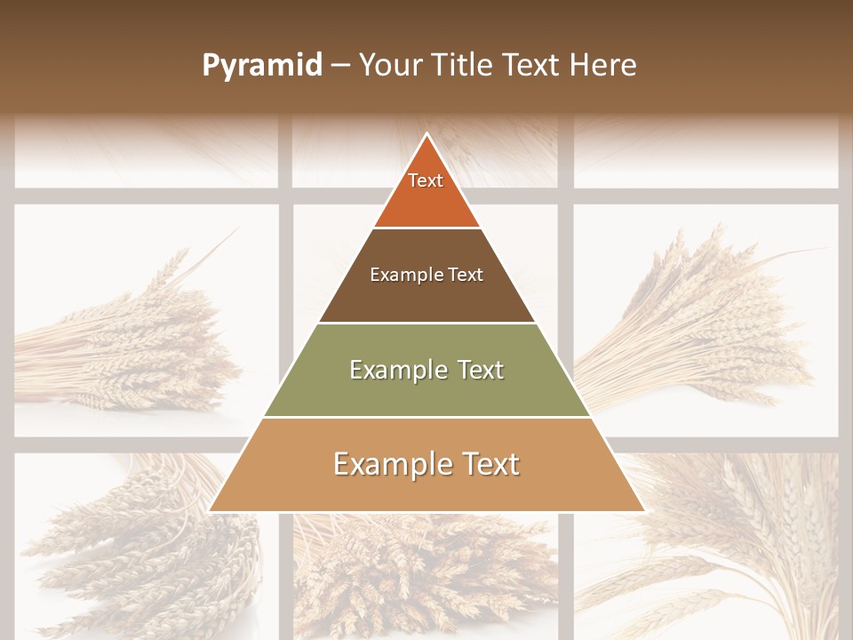 Ripe Ear White PowerPoint Template