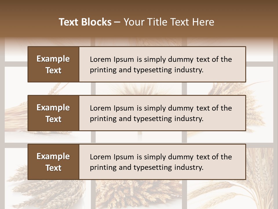 Ripe Ear White PowerPoint Template