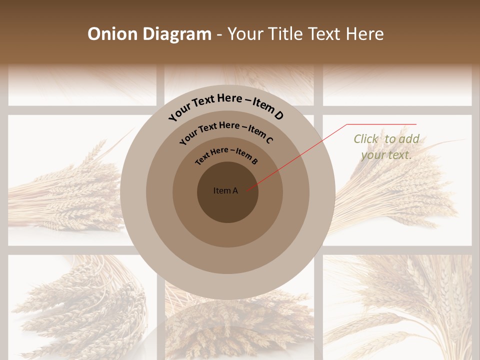 Ripe Ear White PowerPoint Template