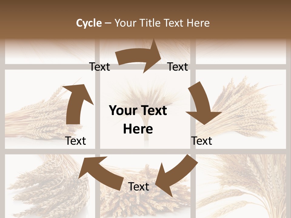 Ripe Ear White PowerPoint Template