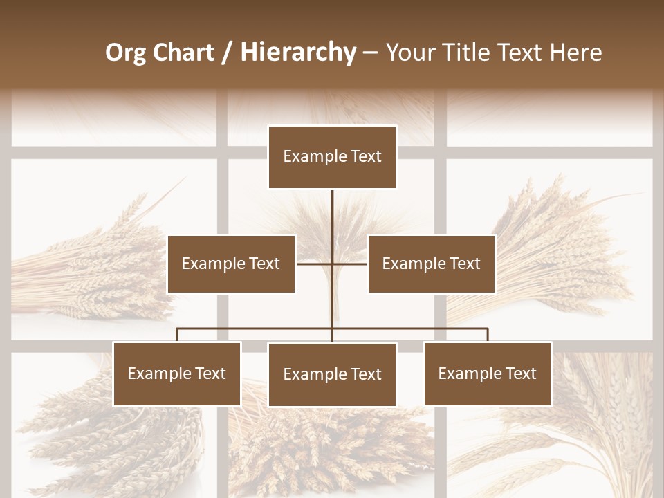 Ripe Ear White PowerPoint Template