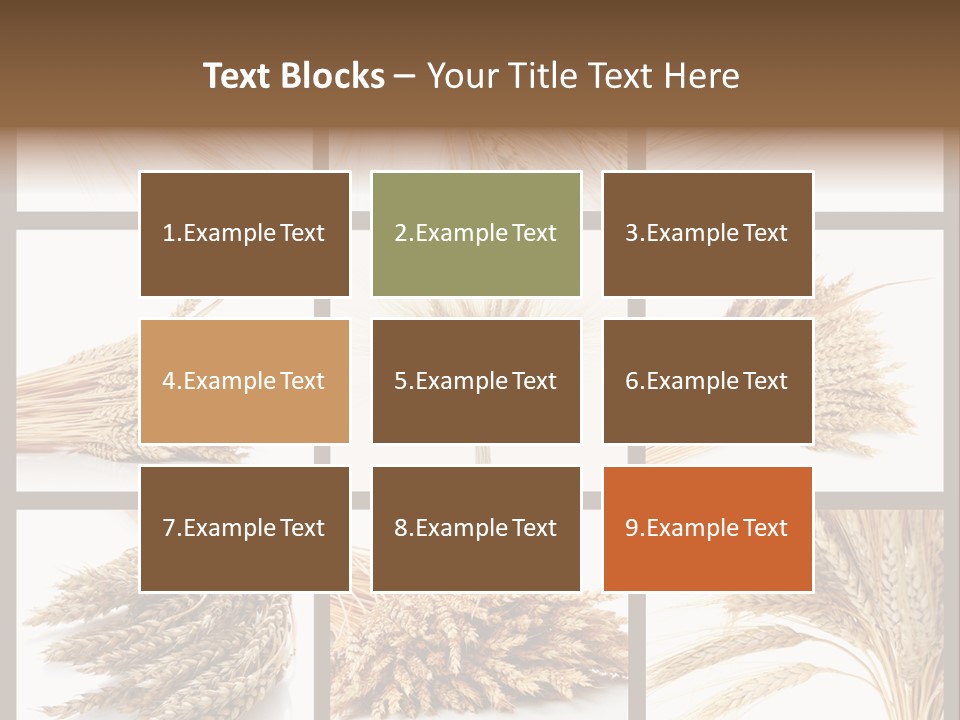 Ripe Ear White PowerPoint Template