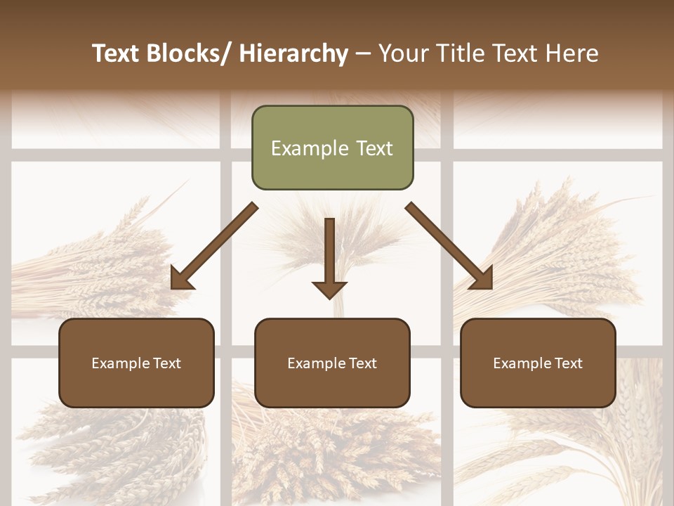 Ripe Ear White PowerPoint Template