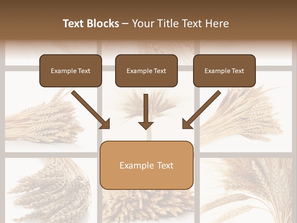 Ripe Ear White PowerPoint Template