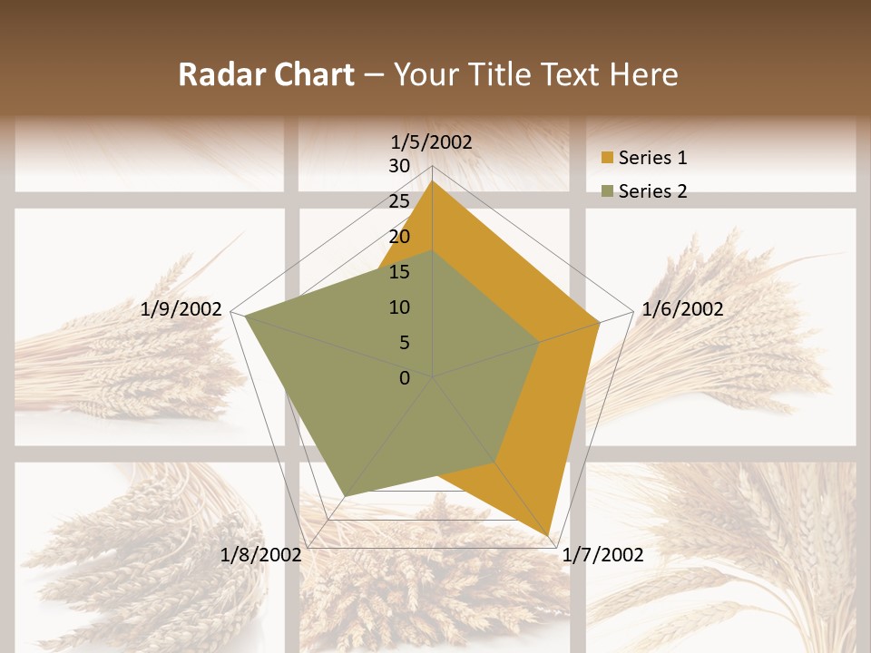 Ripe Ear White PowerPoint Template