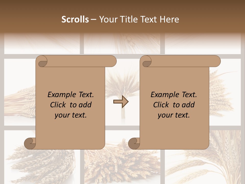 Ripe Ear White PowerPoint Template