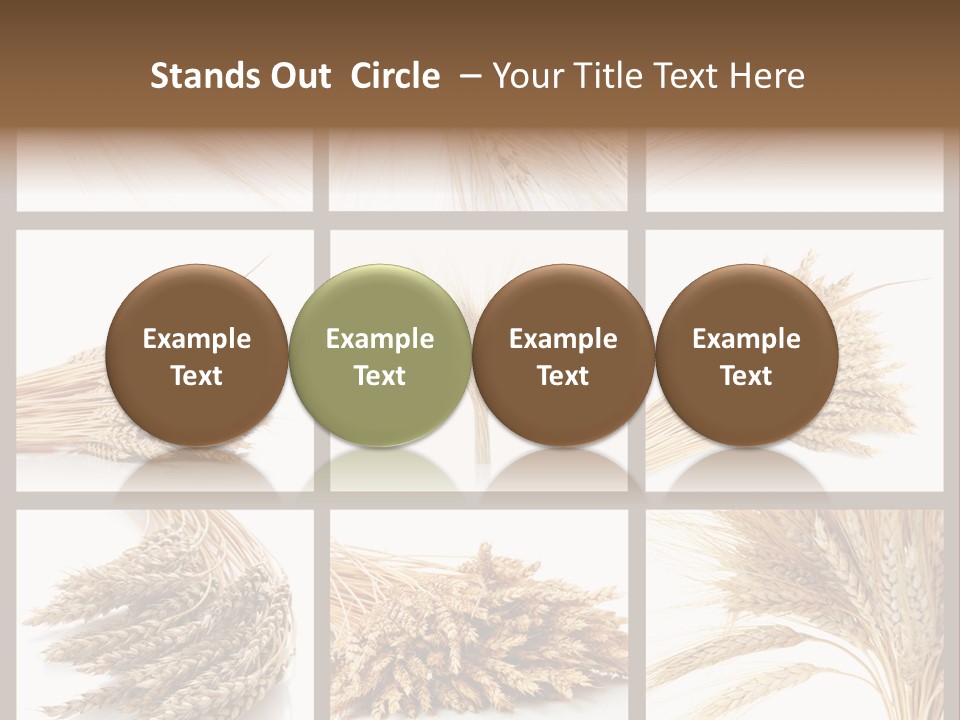 Ripe Ear White PowerPoint Template