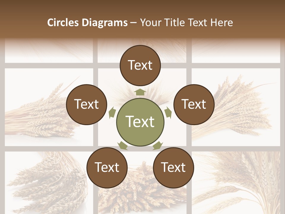 Ripe Ear White PowerPoint Template