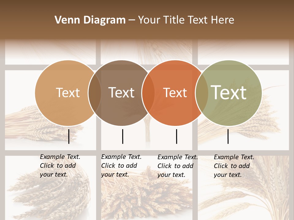 Ripe Ear White PowerPoint Template