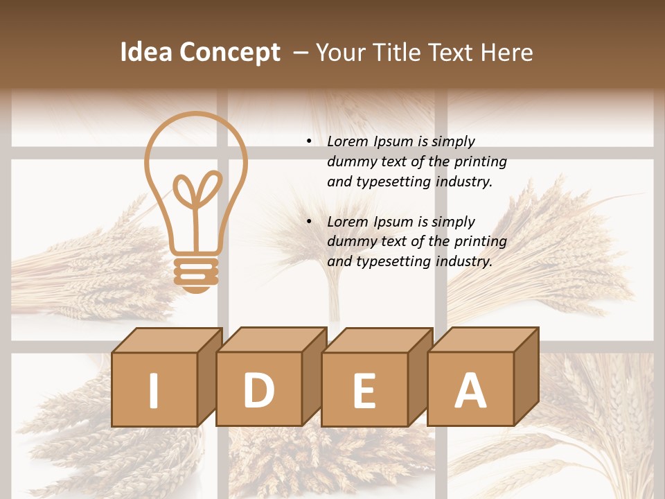 Ripe Ear White PowerPoint Template