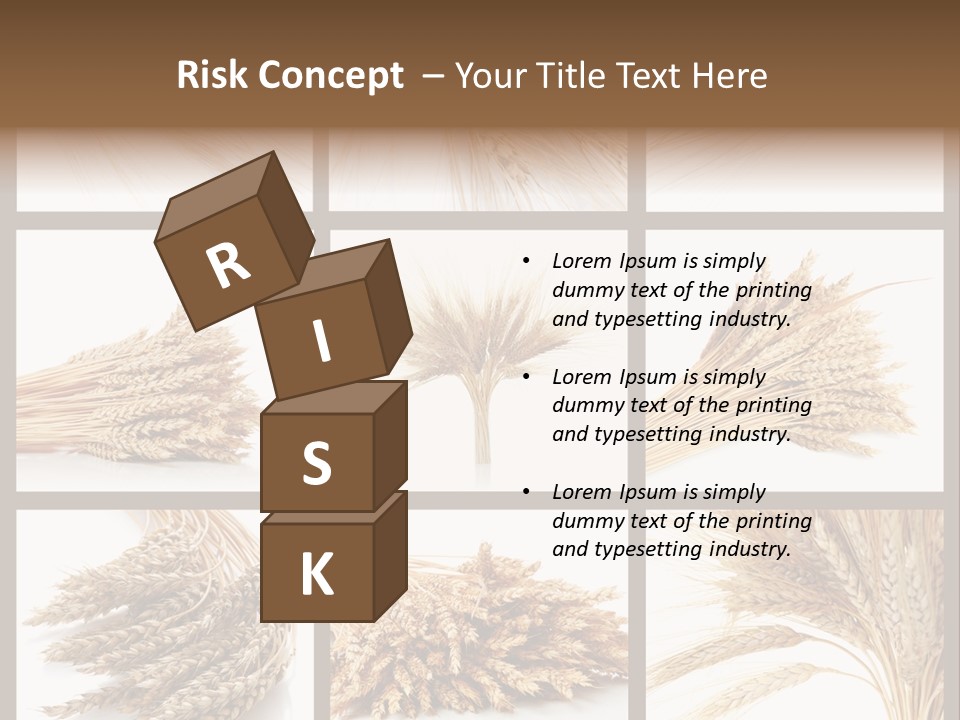 Ripe Ear White PowerPoint Template