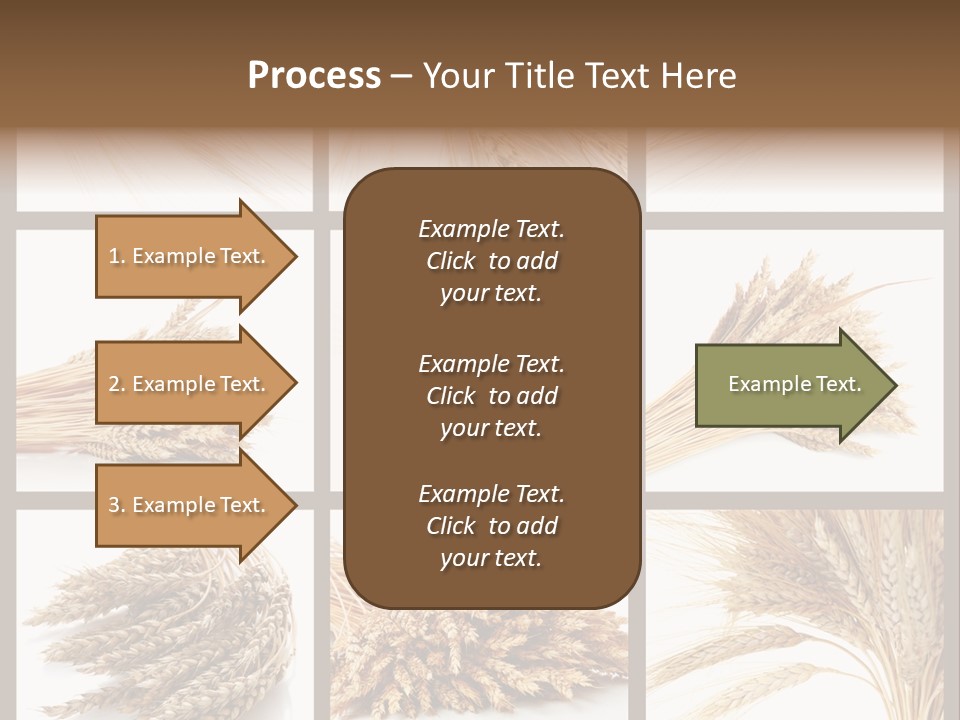 Ripe Ear White PowerPoint Template