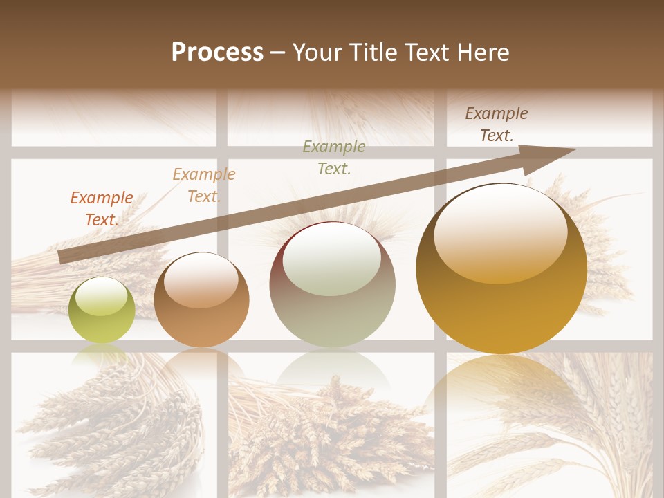 Ripe Ear White PowerPoint Template