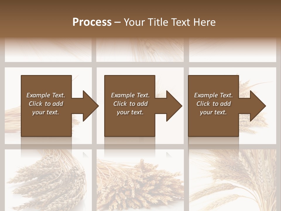 Ripe Ear White PowerPoint Template