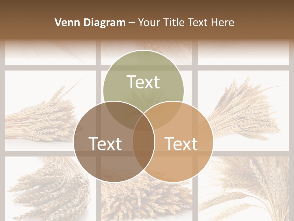 Ripe Ear White PowerPoint Template