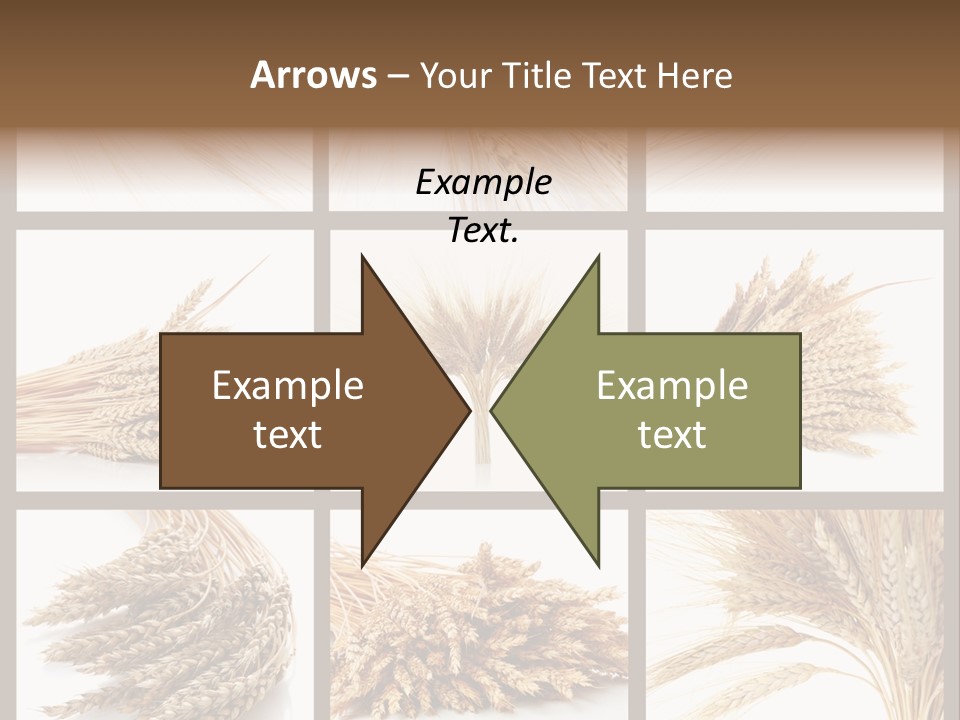 Ripe Ear White PowerPoint Template